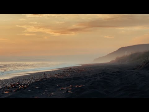 Alx Beats - EVERY SINGLE TIME (Official Music Video)