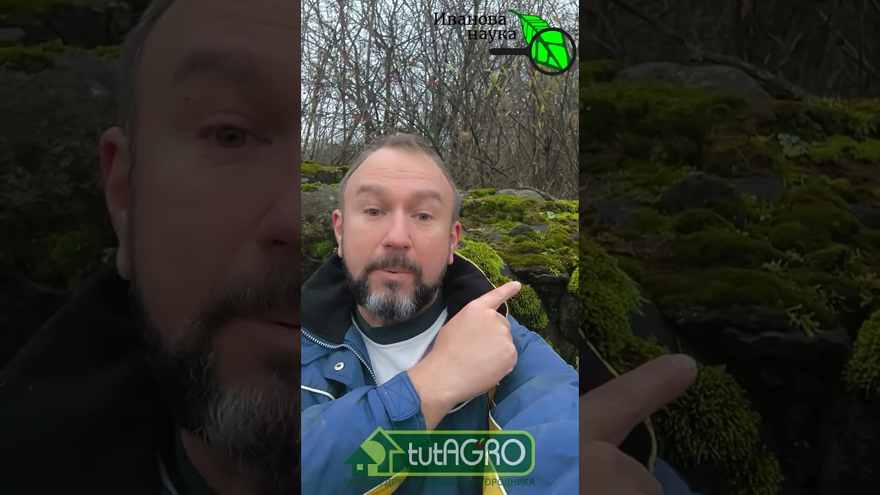 ЭТОТ МЯГКИЙ УБИЙЦА САДА и ОГОРОДА - НАШ ЛУЧШИЙ ПОМОЩНИК!  Зеленый пожиратель ?