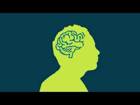 An Introduction to Brain Injury