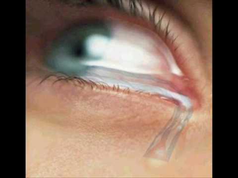 Me arrependo - Fernanda Brum