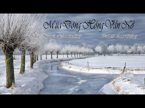 Mùa đông hoa hồng vẫn nở - Anh Bằng