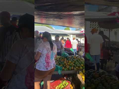 Dia de feira livre em Igaci-AL#feiralivre #nordeste #alagoas #viral #viralvideo #shorts #vralshorts