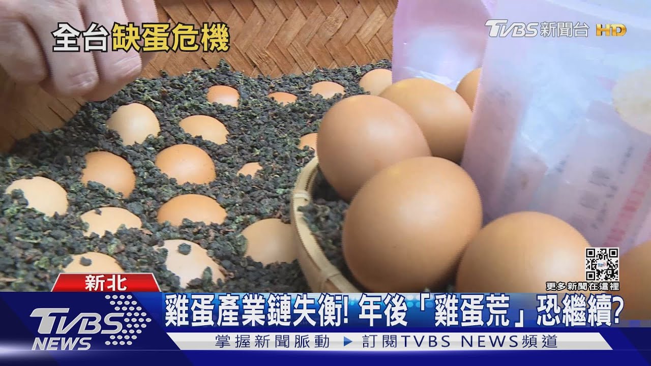 年後續缺蛋「不只飼料漲」 全台鬧蛋荒原因還有「這」