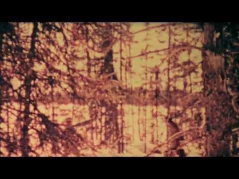 Video thumbnail for New Seeds