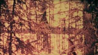 Boards of Canada // New seeds