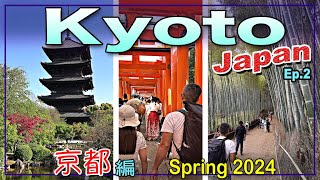 Family fun in Japan Ep.2-KYOTO | 家族旅行-京都｜Arashiyama Bamboo Forest | Fushimi Taisha | Imperial Park