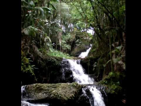 kauai beauty - gabby pahinui