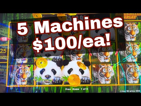 Meskwaki Bingo Mistakes To Avoid For Beginners