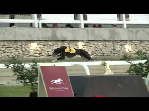 2022.06.24. 05. futam - Kincsem Park Sprint Derby Elődöntő III. futam