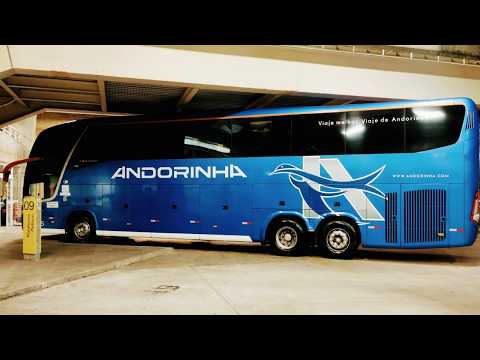 De Curitiba para São Paulo no conforto do Leito Service da Andorinha