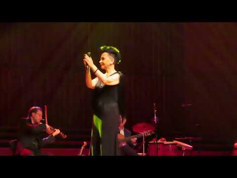 Amira Medunjanin - Pjevat ćemo šta nam srce zna 26.11.2025 live @ Lisinski (Zagreb)