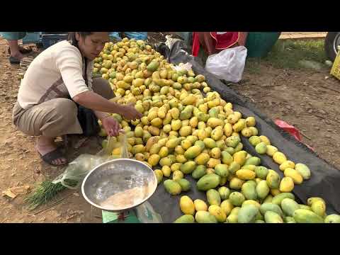 Walking👫 Paksong Market, Champasack province,Laos🇱🇦