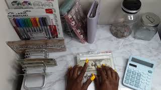 CASH STUFFING $245 SINKING FUNDS | Where Did My Money Go?
