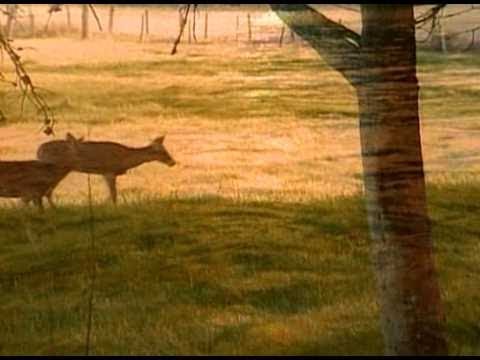 Legendák nyomában -  A rejtőzködő etruszk város