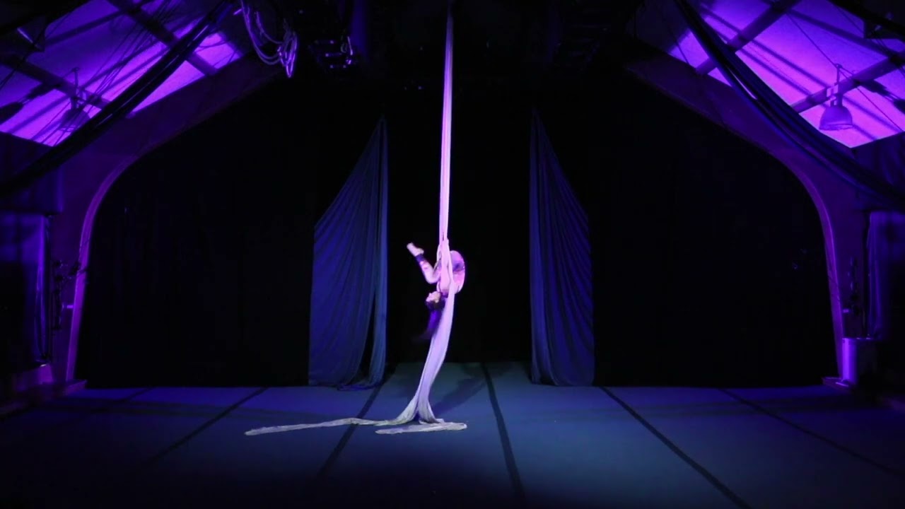 Promotional video thumbnail 1 for Erin Nicole Aerials
