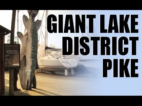 Pike angling in the Lake District: we’re after the big ones… Pike angling in the Lake District: we’re after the big ones…