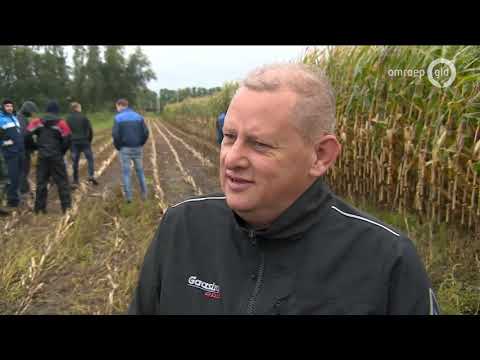 GLD Nieuws 4 oktober 2020