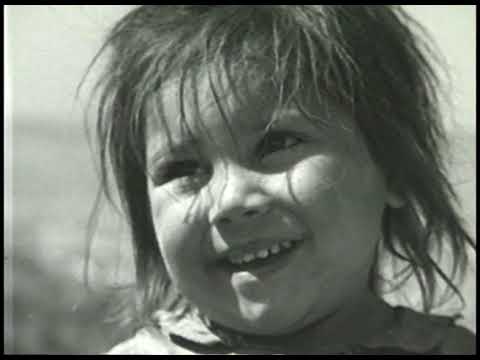 F CATALA ROCA APUNTS 1989