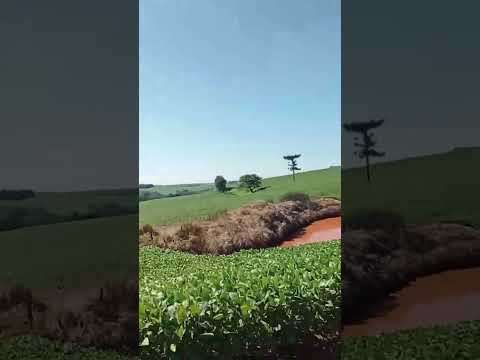 Meu Paraná!! Região de Roncador PR lindas paisagens.