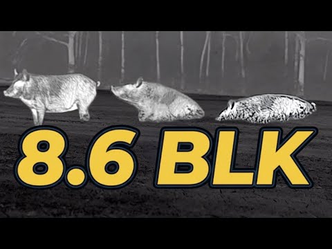 Is 8.6 BlackOut Enough? This was Expensive 