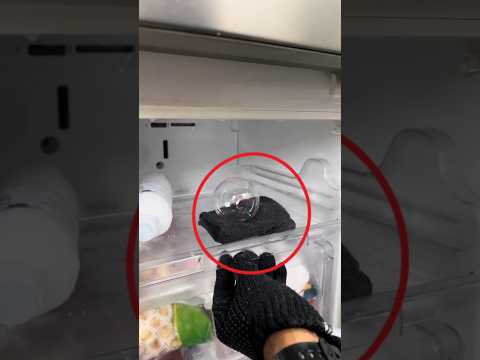 Putting a Bubble in a Refrigerator... THIS HAPPENED! 😱 #shorts