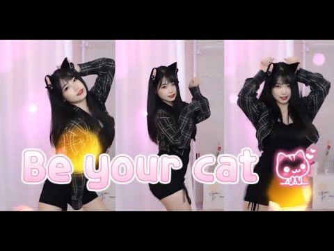 비유어캣(Be your cat) 댄스리액션