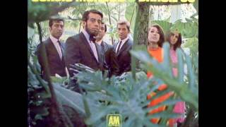 Sergio Mendes & Brasil 66 - Agua De Beber from Mono 1966 A&M LP Record.