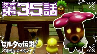【ゼルダの伝説　知恵のかりもの】　ゼルダ姫が主人公！？かりものをしてハイラルを救う！！　第３５話