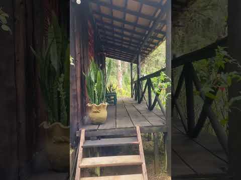 🌿 Teresópolis: Um Paraíso Natural na Serra do Rio #riodejaneiro #deus #passaros