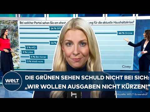 WAS DENKT DEUTSCHLAND? Diese Partei ist schuld an der aktuellen Haushaltskrise! | WELT Umfrage