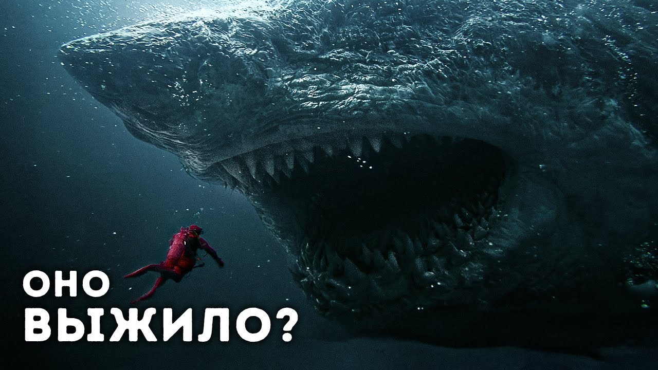 Учёные: мегалодон был умнее, чем думали — он всё ещё где-то там?