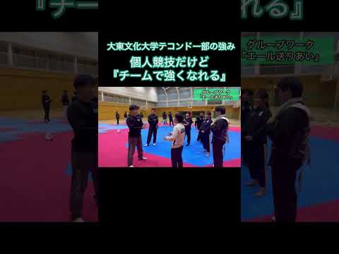【特徴】大東文化大学テコンドー部【団体で強くなれる！】