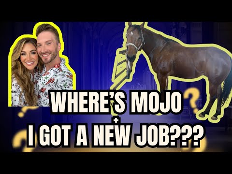 Where Has Mojo Been?! Q&A + Something CRAZY Just Happened…