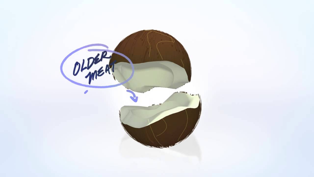 CoCoWater Animation