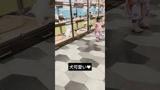 #東京　#ペットショップ　#犬　#猫　#動物