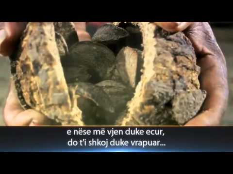 Allahu po të thërret