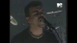 A.N.I.M.A.L - Los que marcan el Camino (en vivo &quot;Mtv Hora Prima&quot; 1998)