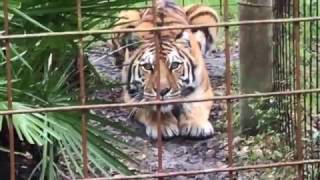 When It&#39;s Cold &amp; Raining at the Sanctuary