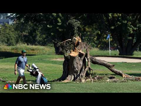 Judge halts Trump administration from clearing trees at D.C. golf course