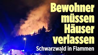 Waldbrand im Schwarzwald: Zwei Bewohner im Ortenaukreis müssen evakuiert werden