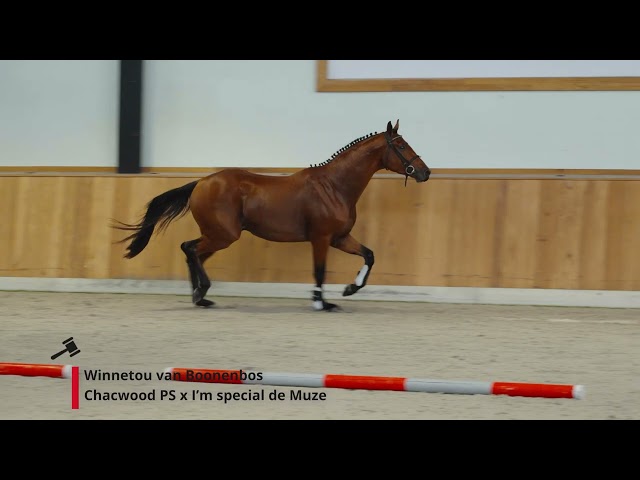 Winnetou van Boonenbos