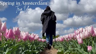 Slow Living in Netherlands: Eating local | Visiting Amsterdam, Wind Mills & Giethoorn
