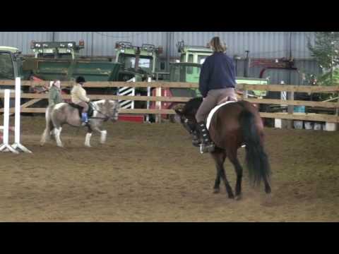 Steendieks Finesse 2