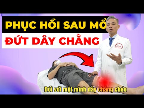 Mổ Dây Chằng Chéo Trước Xong: Tại Sao Đầu Gối Đau Và Cứng? - Phục Hồi Đúng