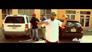 Social Club x ANIMAL KINGDOM (OFFICIAL VIDEO)