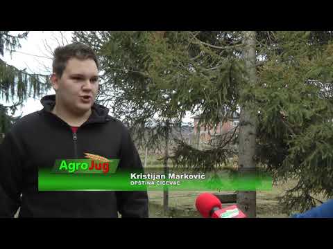 Kristijan Marković Ćićevac: Proizvodnja bukovače se isplati!