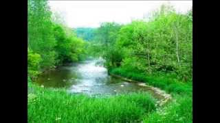 Between the Shadows - Time Lapse - Four Seasons