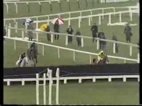 Desert Orchid 1989 Cheltenham Gold Cup