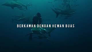 Download lagu Marcopolo - Marc You Way mp3 Download lagu Marcopolo - Marc You Way mp3