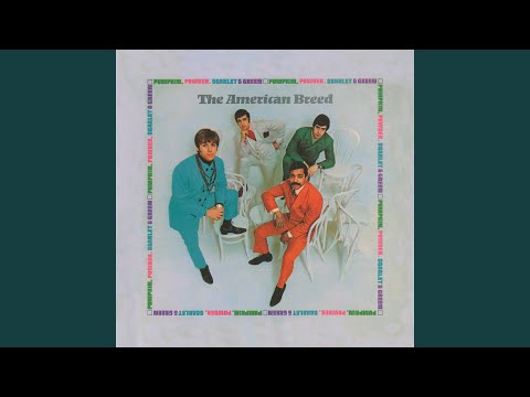 Anyway That You Want Me - The American Breed